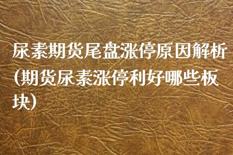 尿素期货尾盘涨停原因解析(期货尿素涨停利好哪些板块) (https://www.njaxzs.com/) 原油期货 第1张