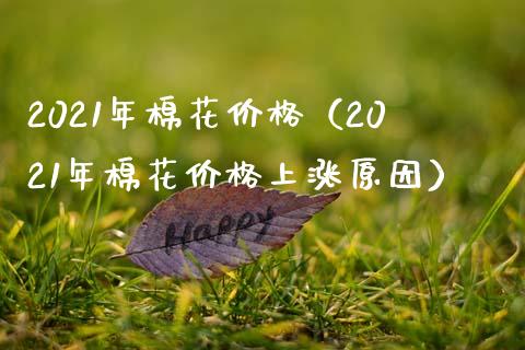 2021年棉花（2021年棉花上涨原因） (https://www.njaxzs.com/) 期货开户 第1张