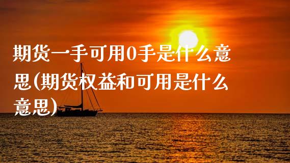 期货一手可用0手是什么意思(期货权益和可用是什么意思) (https://www.njaxzs.com/) 内盘期货 第1张