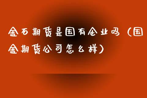 金石期货是国有企业吗（国金期货公司怎么样） (https://www.njaxzs.com/) 期货直播间 第1张