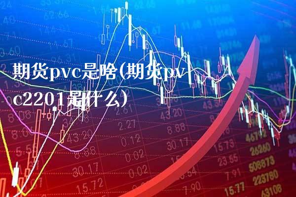 期货pvc是啥(期货pvc2201是什么) (https://www.njaxzs.com/) 黄金期货 第1张