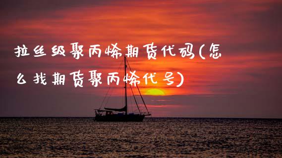 拉丝级聚丙烯期货代码(怎么找期货聚丙烯代号) (https://www.njaxzs.com/) 期货行情 第1张