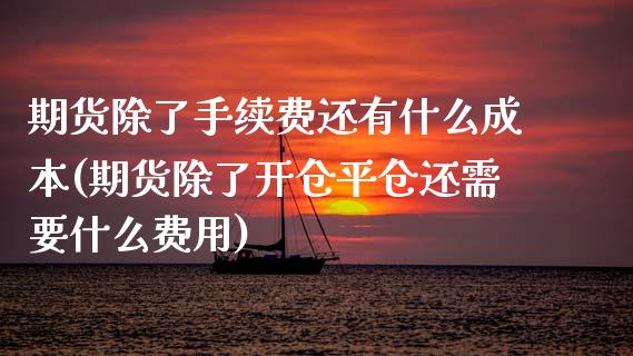 期货除了手续费还有什么成本(期货除了开仓平仓还需要什么费用) (https://www.njaxzs.com/) 黄金期货 第1张
