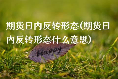 期货日内反转形态(期货日内反转形态什么意思) (https://www.njaxzs.com/) 黄金期货 第1张