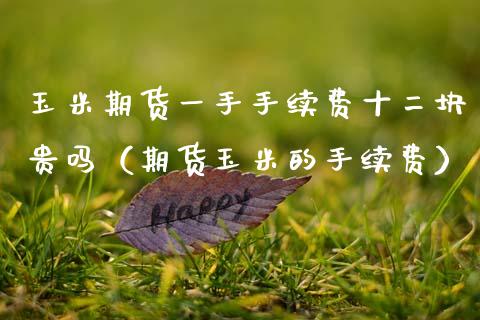 玉米期货一手手续费十二块贵吗（期货玉米的手续费） (https://www.njaxzs.com/) 内盘期货 第1张