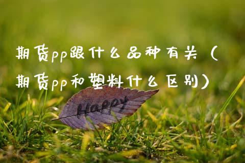 期货pp跟什么品种有关（期货pp和塑料什么区别） (https://www.njaxzs.com/) 期货行情 第1张