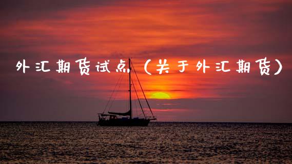 外汇期货试点（关于外汇期货） (https://www.njaxzs.com/) 黄金期货 第1张