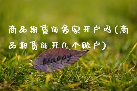 商品期货能多家开户吗(商品期货能开几个账户) (https://www.njaxzs.com/) 期货直播间 第1张