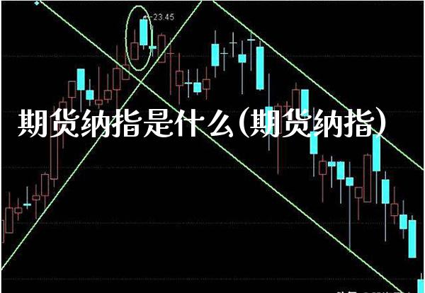 期货纳指是什么(期货纳指) (https://www.njaxzs.com/) 期货直播间 第1张
