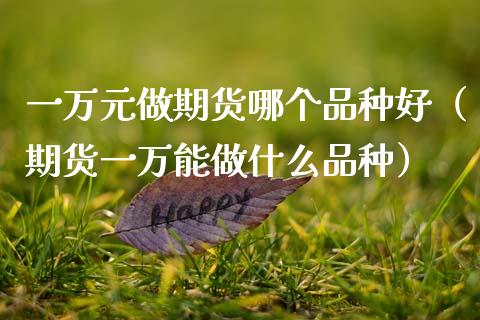 一万元做期货哪个品种好（期货一万能做什么品种） (https://www.njaxzs.com/) 期货行情 第1张