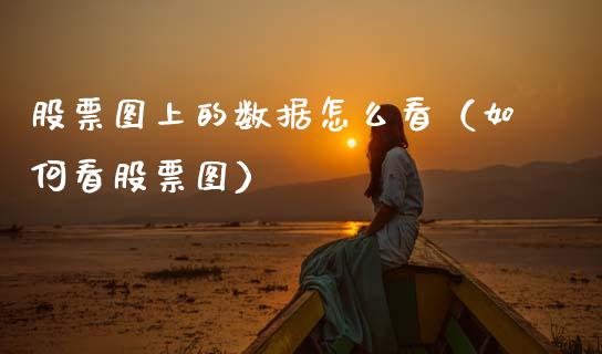 股票图上的数据怎么看（如何看股票图） (https://www.njaxzs.com/) 期货直播间 第1张