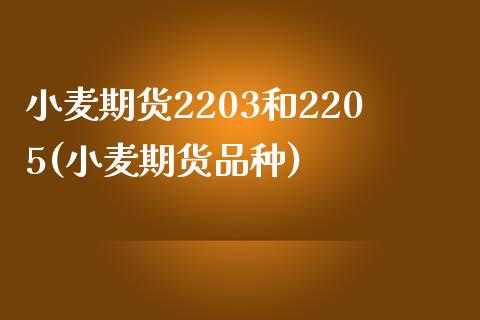 小麦期货2203和2205(小麦期货品种) (https://www.njaxzs.com/) 期货投资 第1张