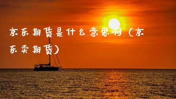 京东期货是什么意思啊（京东卖期货） (https://www.njaxzs.com/) 原油期货 第1张