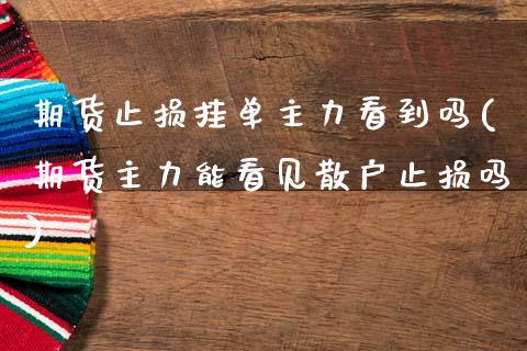 期货止损挂单主力看到吗(期货主力能看见散户止损吗) (https://www.njaxzs.com/) 期货投资 第1张