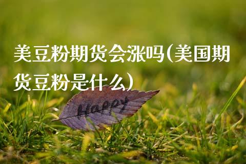 美豆粉期货会涨吗(美国期货豆粉是什么) (https://www.njaxzs.com/) 期货开户 第1张