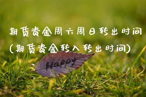 期货资金周六周日转出时间(期货资金转入转出时间) (https://www.njaxzs.com/) 期货投资 第1张