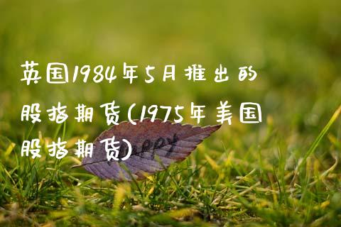 英国1984年5月推出的股指期货(1975年美国股指期货) (https://www.njaxzs.com/) 期货行情 第1张