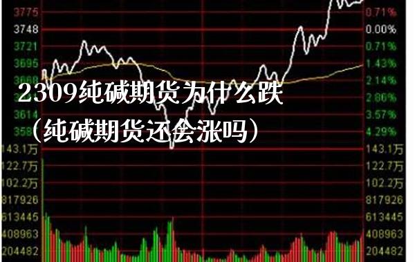 2309纯碱期货为什么跌（纯碱期货还会涨吗） (https://www.njaxzs.com/) 期货直播间 第1张