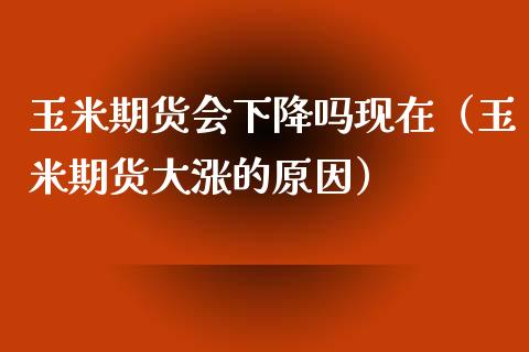 玉米期货会下降吗现在（玉米期货大涨的原因） (https://www.njaxzs.com/) 期货直播间 第1张