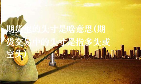 期货里的头寸是啥意思(期货交易中的头寸是指多头或空头) (https://www.njaxzs.com/) 黄金期货 第1张