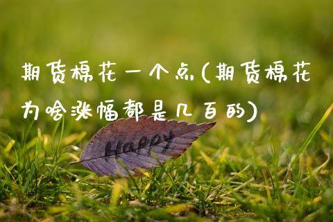 期货棉花一个点(期货棉花为啥涨幅都是几百的) (https://www.njaxzs.com/) 内盘期货 第1张