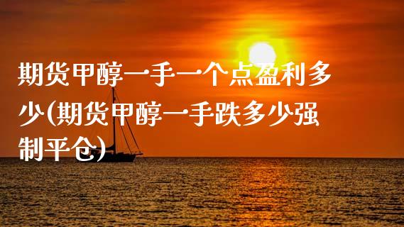 期货甲醇一手一个点盈利多少(期货甲醇一手跌多少强制平仓) (https://www.njaxzs.com/) 原油期货 第1张