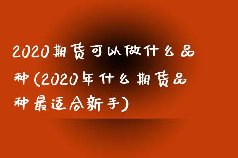 2020期货可以做什么品种(2020年什么期货品种最适合新手) (https://www.njaxzs.com/) 期货行情 第1张