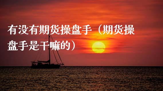 有没有期货操盘手（期货操盘手是干嘛的） (https://www.njaxzs.com/) 期货行情 第1张