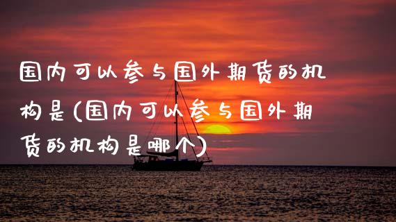 国内可以参与国外期货的机构是(国内可以参与国外期货的机构是哪个) (https://www.njaxzs.com/) 期货行情 第1张