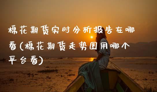 棉花期货实时分析报告在哪看(棉花期货走势图用哪个平台看) (https://www.njaxzs.com/) 内盘期货 第1张