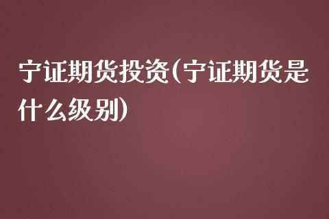 宁证期货投资(宁证期货是什么级别) (https://www.njaxzs.com/) 原油期货 第1张