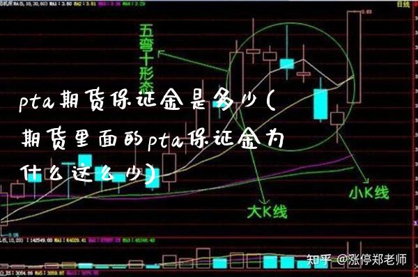 pta期货保证金是多少(期货里面的pta保证金为什么这么少) (https://www.njaxzs.com/) 期货开户 第1张