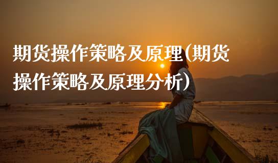 期货操作策略及原理(期货操作策略及原理分析) (https://www.njaxzs.com/) 黄金期货 第1张