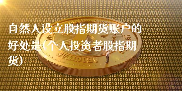 自然人设立股指期货账户的好处是(个人投资者股指期货) (https://www.njaxzs.com/) 原油期货 第1张