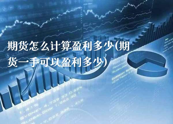 期货怎么计算盈利多少(期货一手可以盈利多少) (https://www.njaxzs.com/) 期货开户 第1张