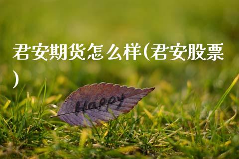 君安期货怎么样(君安股票) (https://www.njaxzs.com/) 黄金期货 第1张