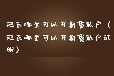 肥东哪里可以开期货账户（肥东哪里可以开期货账户证明） (https://www.njaxzs.com/) 期货行情 第1张