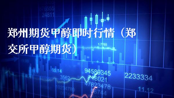 郑州期货甲醇即时行情（郑交所甲醇期货） (https://www.njaxzs.com/) 期货直播间 第1张