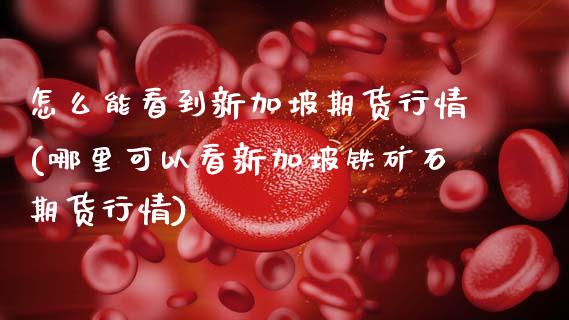 怎么能看到新加坡期货行情(哪里可以看新加坡铁矿石期货行情) (https://www.njaxzs.com/) 期货行情 第1张