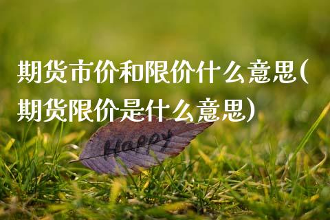 期货市价和限价什么意思(期货限价是什么意思) (https://www.njaxzs.com/) 期货投资 第1张