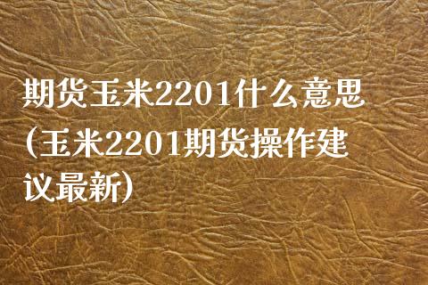 期货玉米2201什么意思(玉米2201期货操作建议最新) (https://www.njaxzs.com/) 期货直播间 第1张