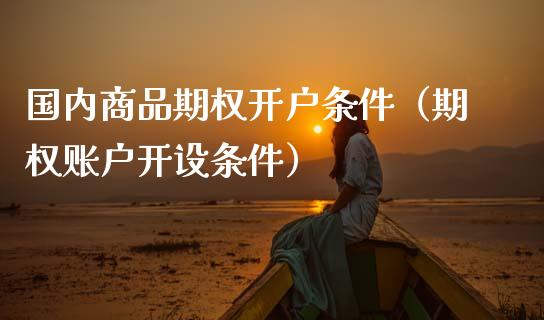 国内商品期权开户条件（期权账户开设条件） (https://www.njaxzs.com/) 期货直播间 第1张