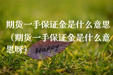 期货一手保证金是什么意思（期货一手保证金是什么意思呀） (https://www.njaxzs.com/) 原油期货 第1张