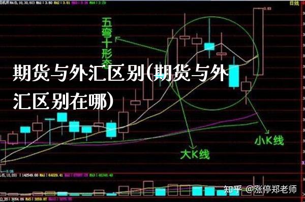 期货与外汇区别(期货与外汇区别在哪) (https://www.njaxzs.com/) 期货开户 第1张