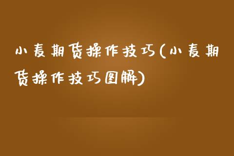 小麦期货操作技巧(小麦期货操作技巧图解) (https://www.njaxzs.com/) 黄金期货 第1张