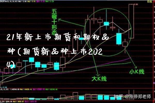 21年新上市期货和期权品种(期货新品种上市2024) (https://www.njaxzs.com/) 原油期货 第1张