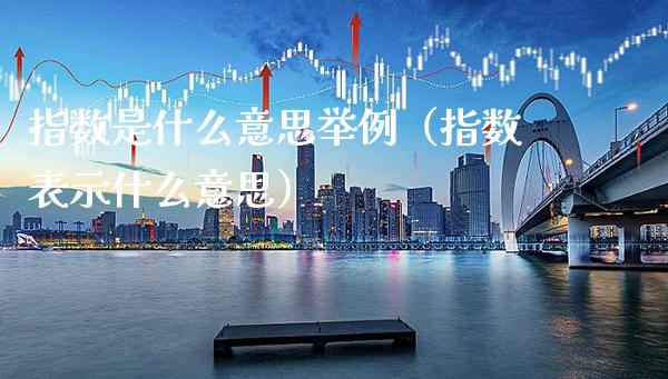 指数是什么意思举例（指数表示什么意思） (https://www.njaxzs.com/) 期货直播间 第1张