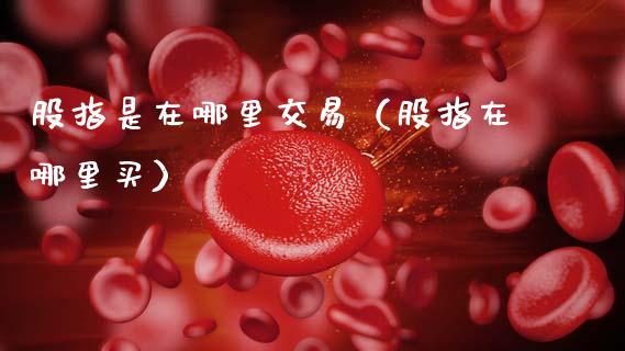 股指是在哪里交易（股指在哪里买） (https://www.njaxzs.com/) 内盘期货 第1张