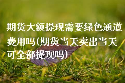 期货大额提现需要绿色通道费用吗(期货当天卖出当天可全部提现吗) (https://www.njaxzs.com/) 原油期货 第1张