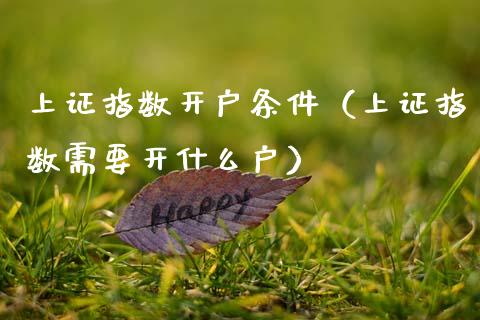 上证指数开户条件（上证指数需要开什么户） (https://www.njaxzs.com/) 内盘期货 第1张